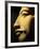 Bust of the 18th Dynasty Pharoah Akhenaten in the National Museum in Alexandria, Egypt-Julian Love-Framed Photographic Print