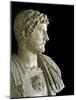 Bust of the Emperor Hadrian-null-Mounted Photographic Print