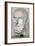 Bust of the Greek philosopher Chrysippus. Artist: Unknown-Unknown-Framed Giclee Print