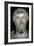 Bust of the Roman Emperor Septimius Severus, 2nd century. Artist: Unknown-Unknown-Framed Giclee Print