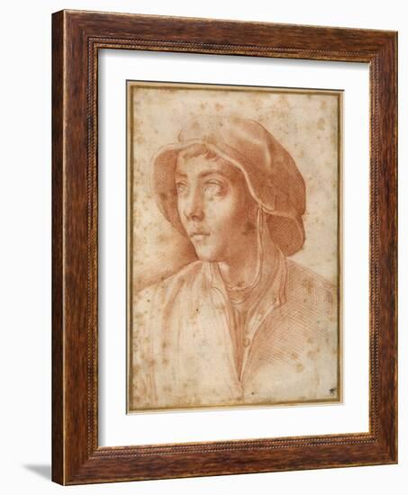 Bust Portrait of a Boy Wearing a Cap-Francesco De Rossi Salviati Cecchino-Framed Giclee Print