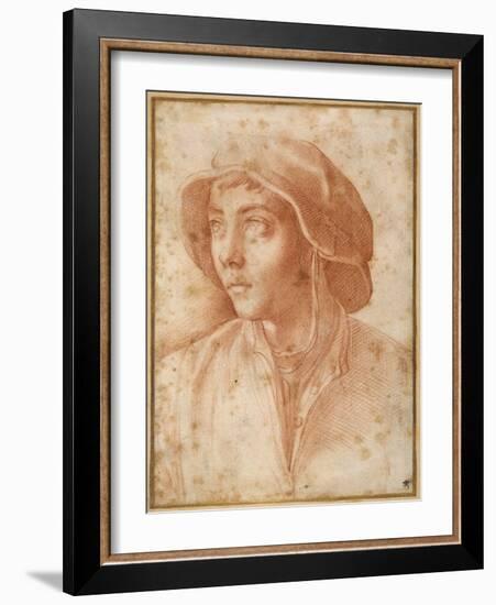 Bust Portrait of a Boy Wearing a Cap-Francesco De Rossi Salviati Cecchino-Framed Giclee Print