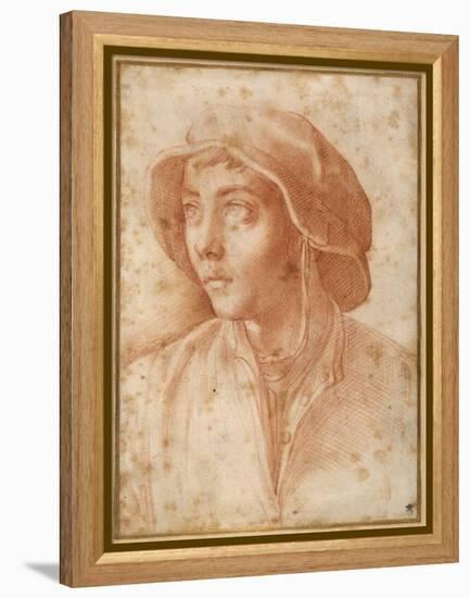 Bust Portrait of a Boy Wearing a Cap-Francesco De Rossi Salviati Cecchino-Framed Premier Image Canvas