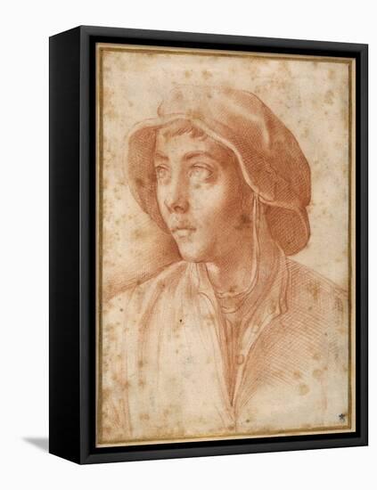 Bust Portrait of a Boy Wearing a Cap-Francesco De Rossi Salviati Cecchino-Framed Premier Image Canvas