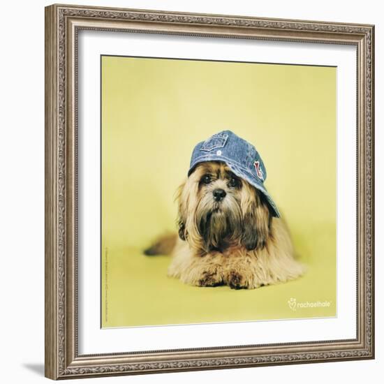 Buster-Rachael Hale-Framed Art Print