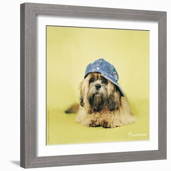 Buster-Rachael Hale-Framed Art Print