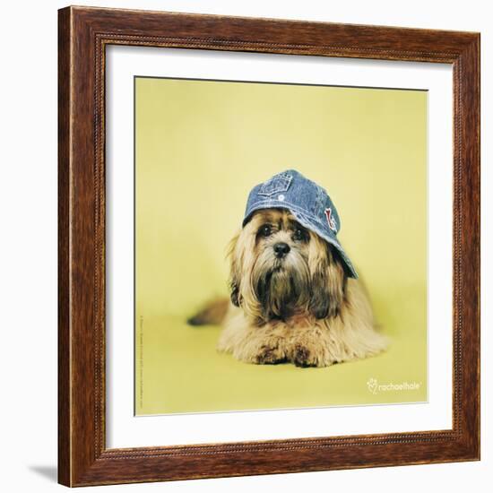 Buster-Rachael Hale-Framed Art Print