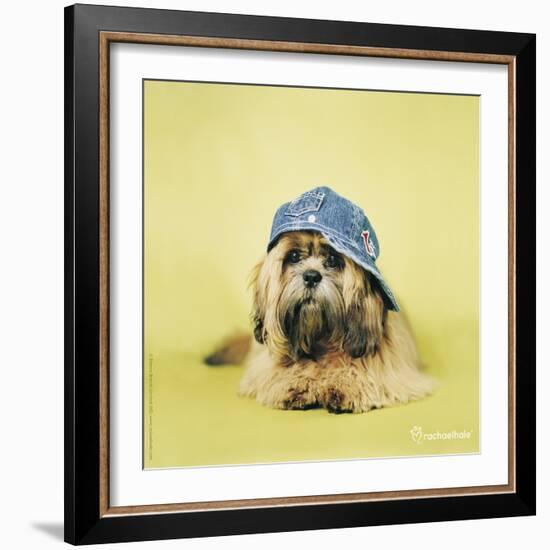 Buster-Rachael Hale-Framed Art Print