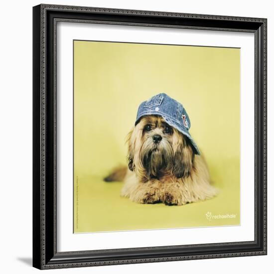 Buster-Rachael Hale-Framed Art Print