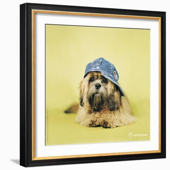 Buster-Rachael Hale-Framed Art Print