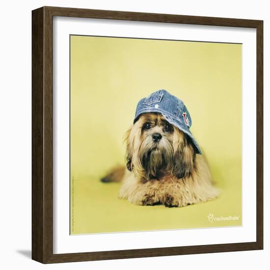 Buster-Rachael Hale-Framed Photographic Print