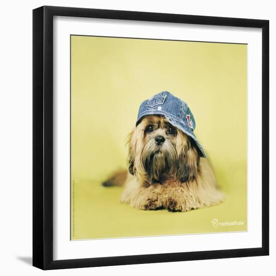 Buster-Rachael Hale-Framed Photographic Print