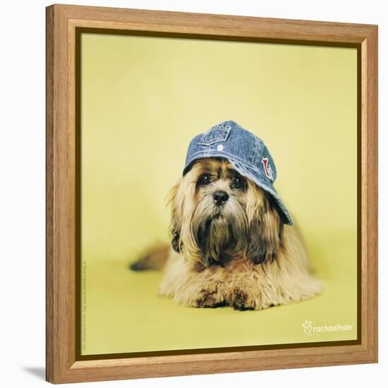 Buster-Rachael Hale-Framed Premier Image Canvas