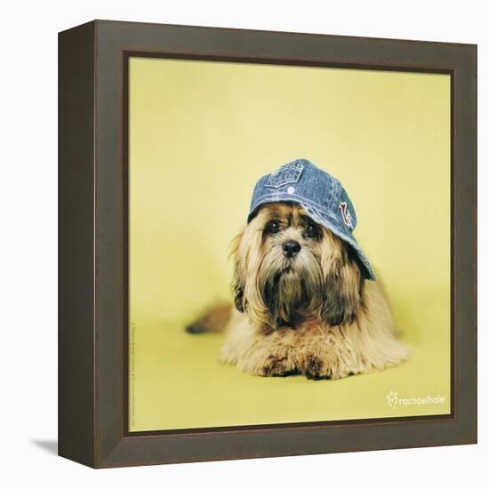 Buster-Rachael Hale-Framed Premier Image Canvas