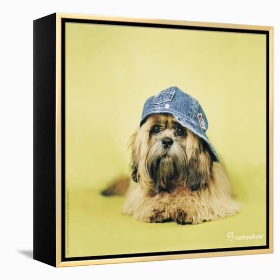 Buster-Rachael Hale-Framed Premier Image Canvas