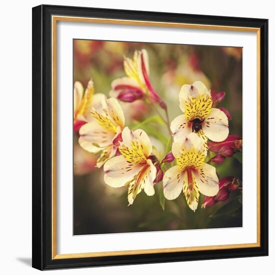 Busy Bee-Lance Kuehne-Framed Photographic Print