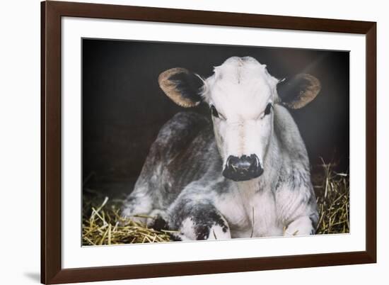 Busy Day Crop-Aledanda-Framed Art Print