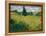 But Green - Painting by Vincent Van Gogh (1853-1890), Oil on Canvas, 1889 - French Art, 19Th Centur-Vincent van Gogh-Framed Premier Image Canvas