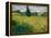 But Green - Painting by Vincent Van Gogh (1853-1890), Oil on Canvas, 1889 - French Art, 19Th Centur-Vincent van Gogh-Framed Premier Image Canvas