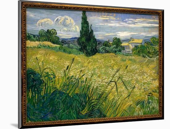 But Green - Painting by Vincent Van Gogh (1853-1890), Oil on Canvas, 1889 - French Art, 19Th Centur-Vincent van Gogh-Mounted Giclee Print