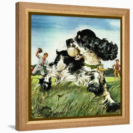 "Butch and Baseball," June 18, 1949-Albert Staehle-Framed Premier Image Canvas