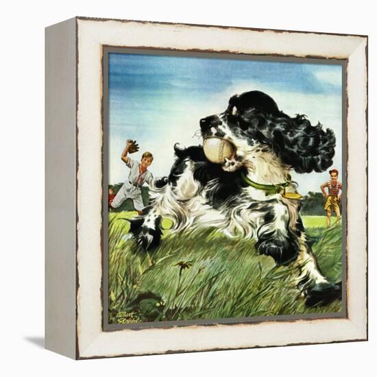 "Butch and Baseball," June 18, 1949-Albert Staehle-Framed Premier Image Canvas