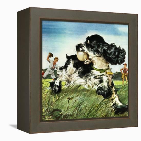 "Butch and Baseball," June 18, 1949-Albert Staehle-Framed Premier Image Canvas