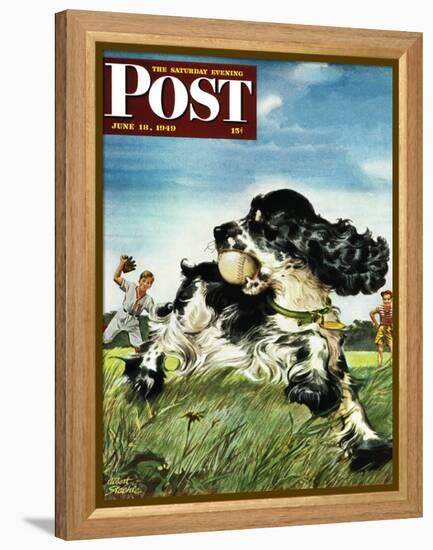 "Butch and Baseball," Saturday Evening Post Cover, June 18, 1949-Albert Staehle-Framed Premier Image Canvas