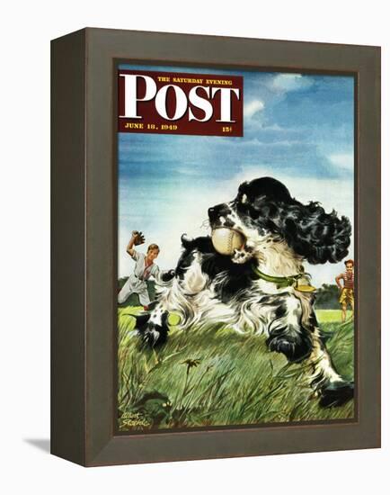 "Butch and Baseball," Saturday Evening Post Cover, June 18, 1949-Albert Staehle-Framed Premier Image Canvas
