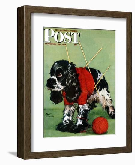 "Butch and Knitted Sweater," Saturday Evening Post Cover, September 28, 1946-Albert Staehle-Framed Giclee Print