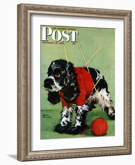 "Butch and Knitted Sweater," Saturday Evening Post Cover, September 28, 1946-Albert Staehle-Framed Giclee Print