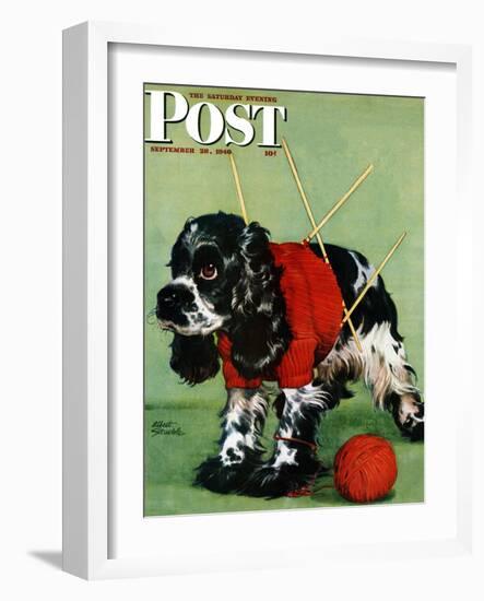 "Butch and Knitted Sweater," Saturday Evening Post Cover, September 28, 1946-Albert Staehle-Framed Giclee Print