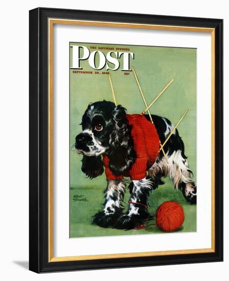 "Butch and Knitted Sweater," Saturday Evening Post Cover, September 28, 1946-Albert Staehle-Framed Giclee Print