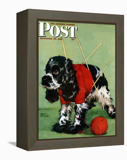 "Butch and Knitted Sweater," Saturday Evening Post Cover, September 28, 1946-Albert Staehle-Framed Premier Image Canvas