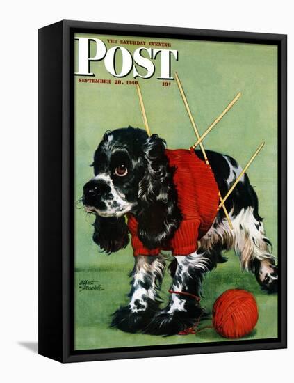 "Butch and Knitted Sweater," Saturday Evening Post Cover, September 28, 1946-Albert Staehle-Framed Premier Image Canvas