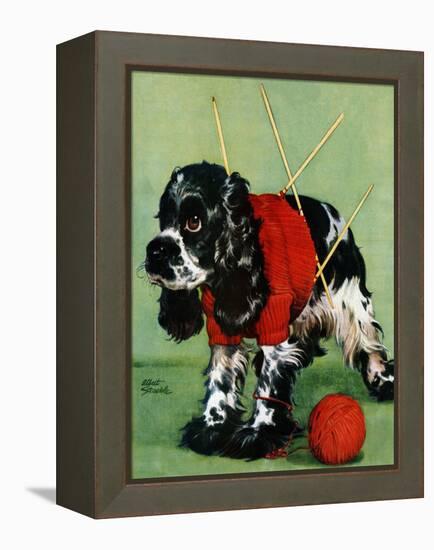 "Butch and Knitted Sweater," September 28, 1946-Albert Staehle-Framed Premier Image Canvas