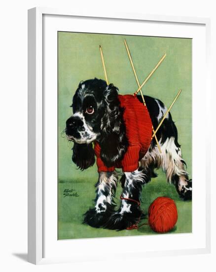 "Butch and Knitted Sweater," September 28, 1946-Albert Staehle-Framed Giclee Print