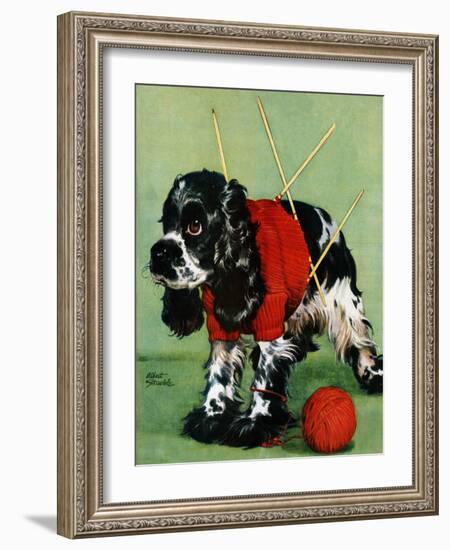 "Butch and Knitted Sweater," September 28, 1946-Albert Staehle-Framed Giclee Print