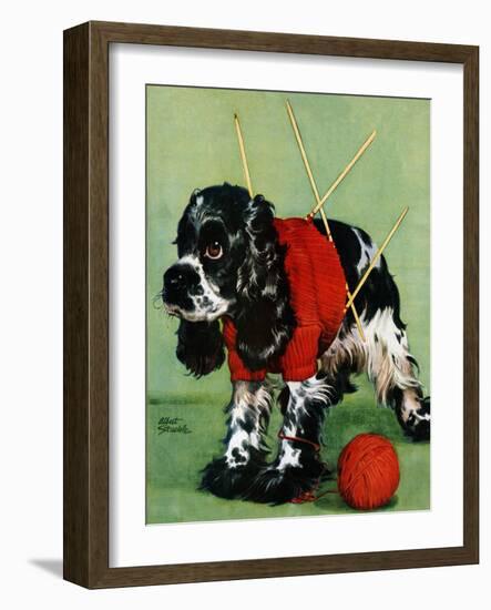 "Butch and Knitted Sweater," September 28, 1946-Albert Staehle-Framed Giclee Print