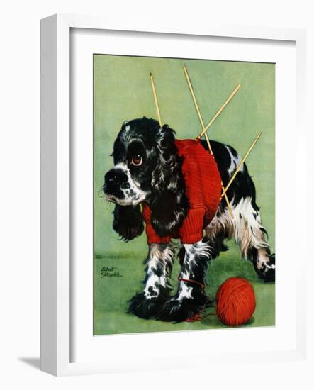 "Butch and Knitted Sweater," September 28, 1946-Albert Staehle-Framed Giclee Print