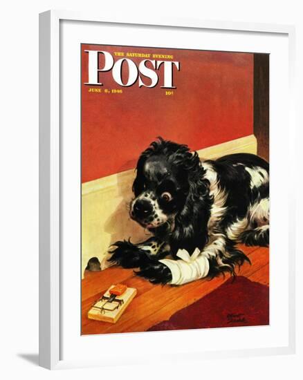 "Butch and Mousetrap," Saturday Evening Post Cover, June 8, 1946-Albert Staehle-Framed Giclee Print