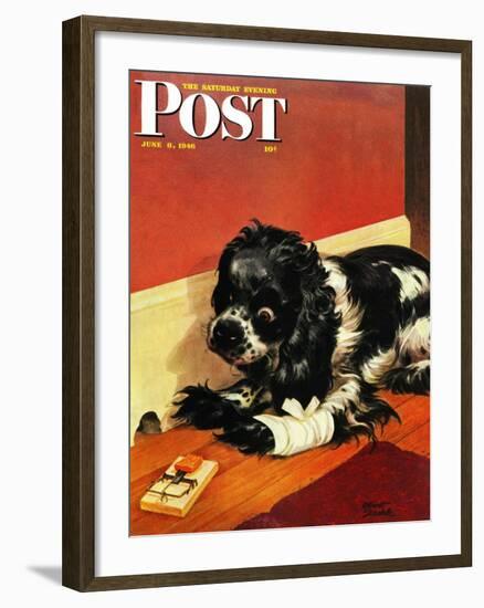 "Butch and Mousetrap," Saturday Evening Post Cover, June 8, 1946-Albert Staehle-Framed Giclee Print