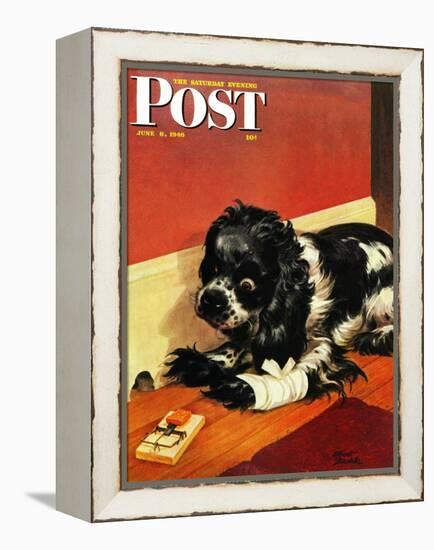 "Butch and Mousetrap," Saturday Evening Post Cover, June 8, 1946-Albert Staehle-Framed Premier Image Canvas