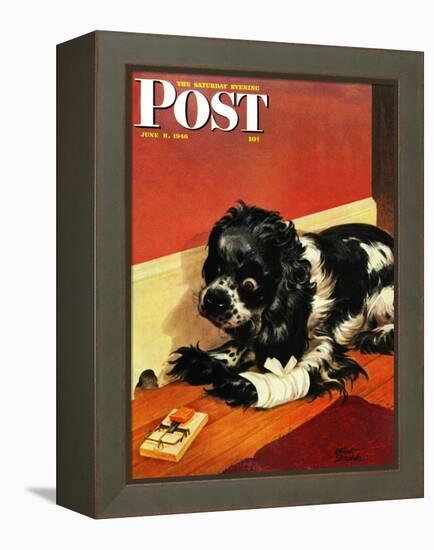 "Butch and Mousetrap," Saturday Evening Post Cover, June 8, 1946-Albert Staehle-Framed Premier Image Canvas