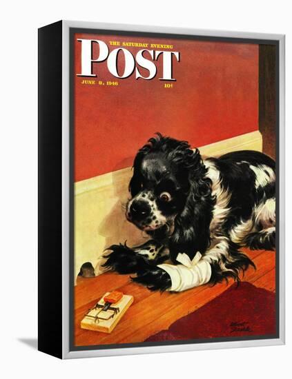 "Butch and Mousetrap," Saturday Evening Post Cover, June 8, 1946-Albert Staehle-Framed Premier Image Canvas