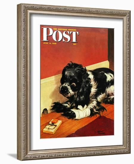 "Butch and Mousetrap," Saturday Evening Post Cover, June 8, 1946-Albert Staehle-Framed Giclee Print