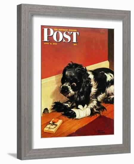 "Butch and Mousetrap," Saturday Evening Post Cover, June 8, 1946-Albert Staehle-Framed Giclee Print