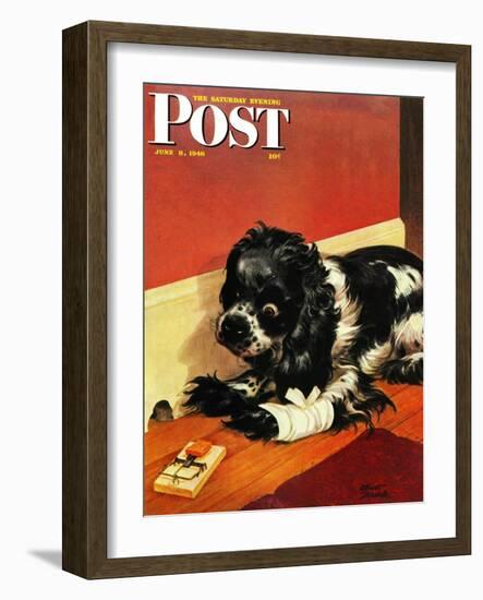 "Butch and Mousetrap," Saturday Evening Post Cover, June 8, 1946-Albert Staehle-Framed Giclee Print