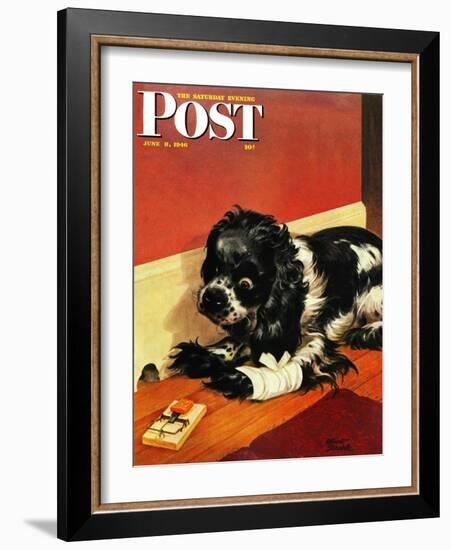 "Butch and Mousetrap," Saturday Evening Post Cover, June 8, 1946-Albert Staehle-Framed Giclee Print