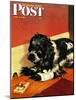 "Butch and Mousetrap," Saturday Evening Post Cover, June 8, 1946-Albert Staehle-Mounted Giclee Print